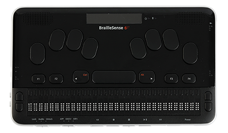 Braille Sense 6